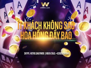 Read more about the article ÍT KHÁCH KHÔNG SAO – HOA HỒNG ĐẦY BAO