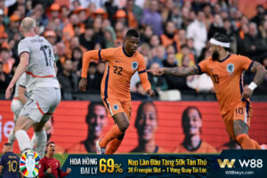 Read more about the article NHẬN ĐỊNH EURO 2024 HÀ LAN VS ÁO: LỊCH SỬ LẶP LẠI?