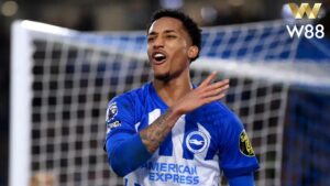 Read more about the article [NHẬN ĐỊNH BÓNG ĐÁ] BRIGHTON – CHELSEA | 03:00, 15/02 | PHỤC THÙ