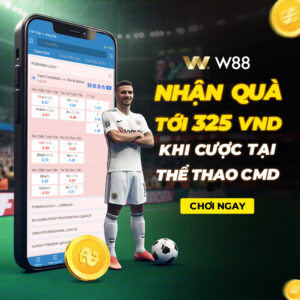 Read more about the article SÔI ĐỘNG CẦU TRƯỜNG CÙNG CMD – RINH THƯỞNG TỚI 325 VND