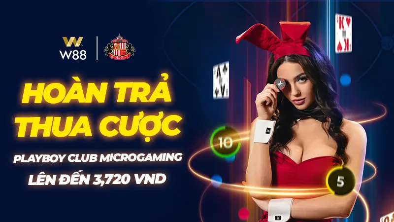 You are currently viewing HOÀN TRẢ TIỀN THUA CƯỢC TẠI PLAYBOY CLUB MICROGAMING LÊN ĐẾN 3,720 VND