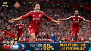 Read more about the article LIVERPOOL THẮNG ĐẤY, NHƯNG LO ĐẤY!