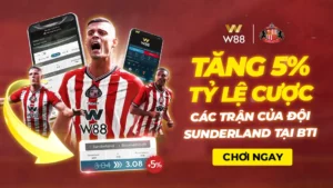 Read more about the article TĂNG THÊM 5% TỶ LỆ CƯỢC CÁC TRẬN ĐẤU SUNDERLAND TẠI BTI