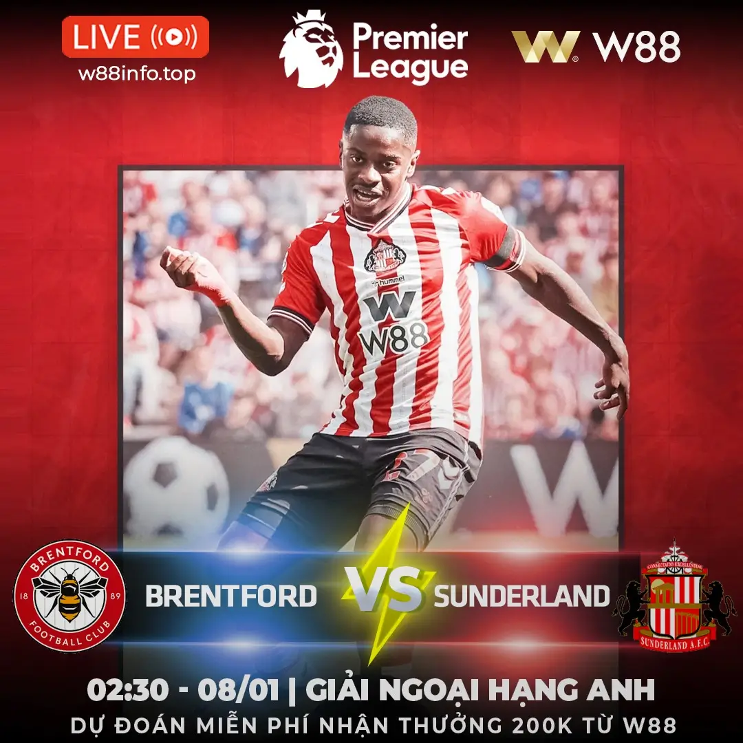 You are currently viewing [W88 – MINIGAME] BRENTFORD – SUNDERLAND | BẦY ONG GẶP NGUY