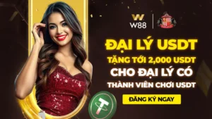 Read more about the article THƯỞNG 2,000 USD CHO ĐẠI LÝ CÓ THÀNH VIÊN CHƠI BẰNG USDT