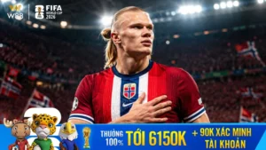 Read more about the article ERLING HAALAND ĐÃ SẴN SÀNG CHINH PHỤC WORLD CUP 2026?