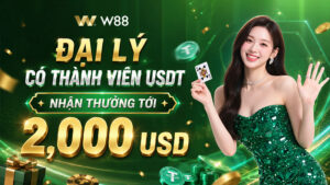 Read more about the article ĐẠI LÝ CÓ THÀNH VIÊN USDT – NHẬN THƯỞNG TỚI 2,000 USD